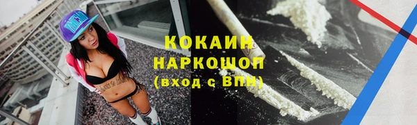 спайс Корсаков