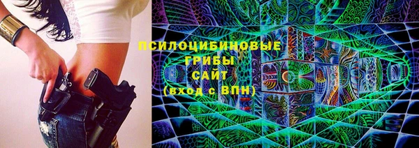 прущие грибы Краснослободск