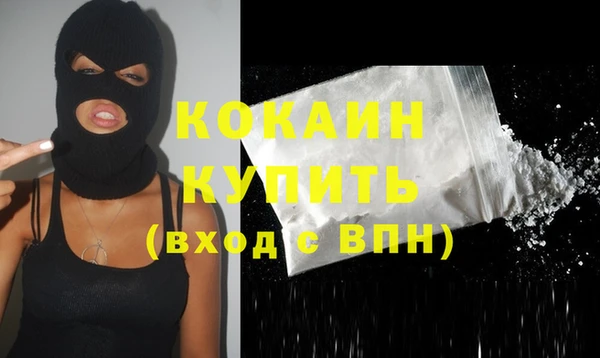 прущие грибы Краснослободск