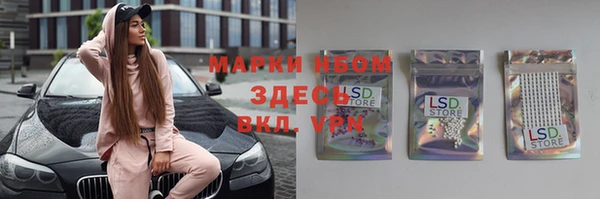 спайс Корсаков