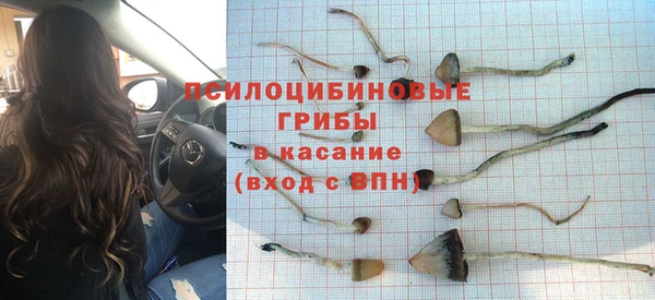 тгк Костерёво