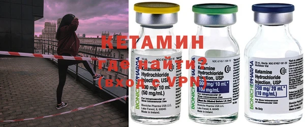 прущие грибы Краснослободск