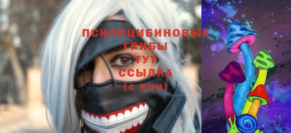 прущие грибы Краснослободск