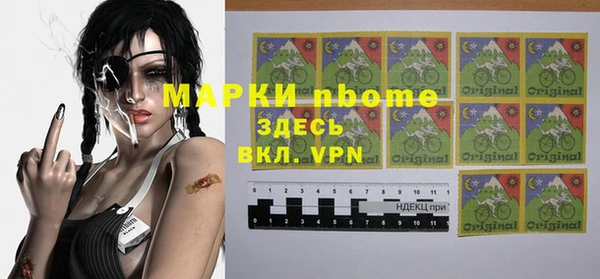 прущие грибы Краснослободск